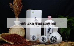 中国梦江苏洋河镇酒的简单介绍